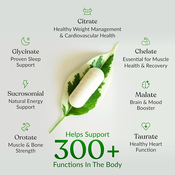 BiOptimizers Magnesium Breakthrough – 7 Forms of Magnesium, 500mg, 30 Vegan Capsules