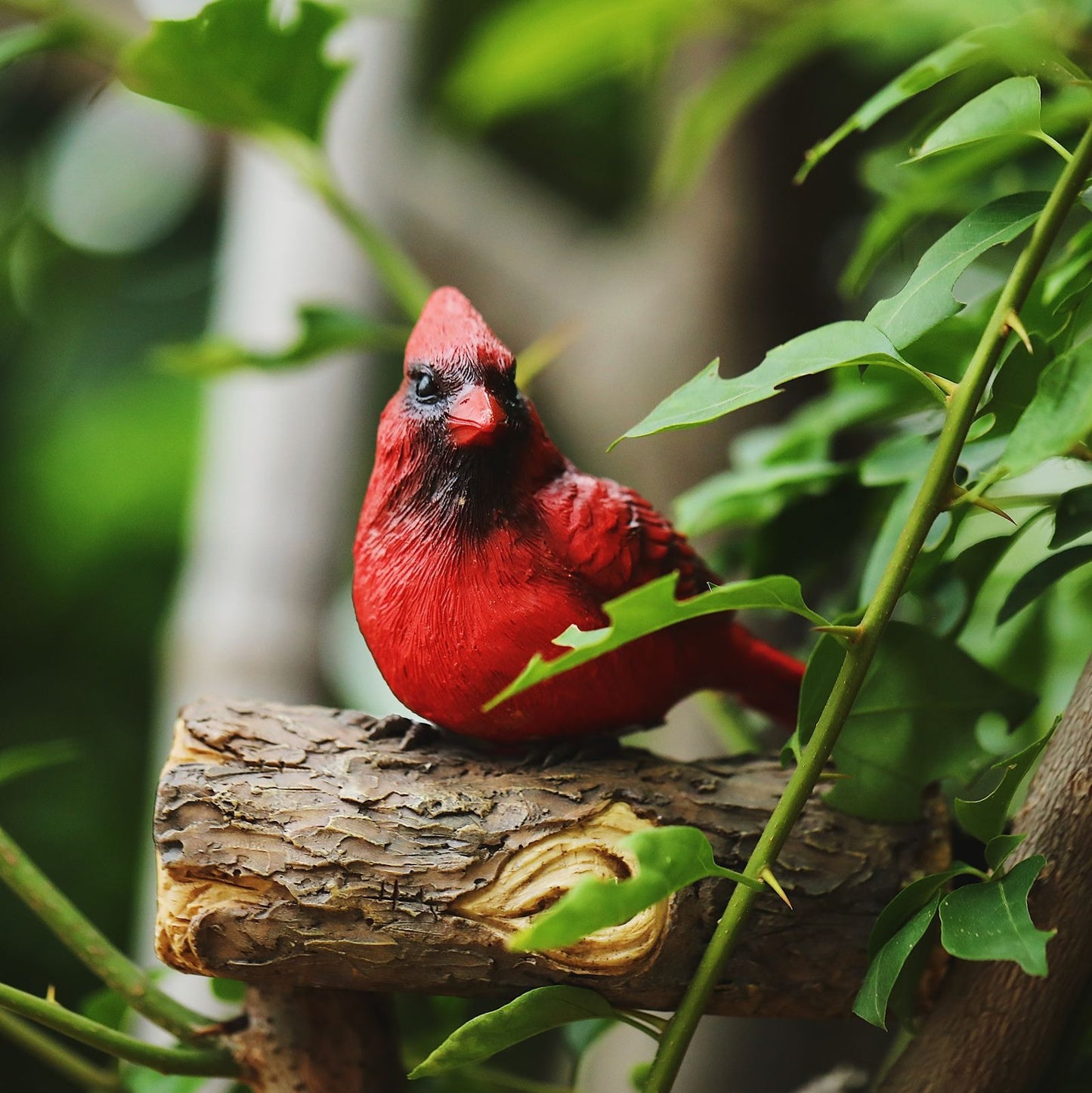 Garden Red Bird Resin Decoration