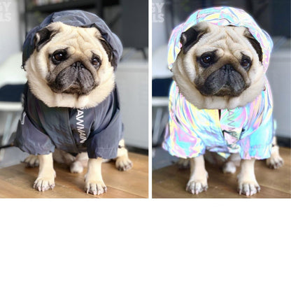 Windproof & Waterproof Large Dog Raincoat