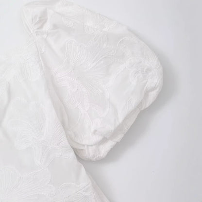 V-neck bubble sleeve waist cinched embroidered dress for women