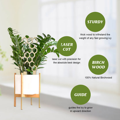 Garden Plant Trellis Home Wooden Pot Climbing Pergola Balcony Decoration Support Flower Arrangement Supports