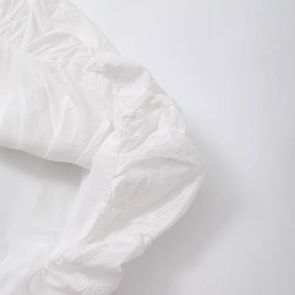 V-neck bubble sleeve waist cinched embroidered dress for women