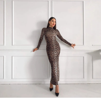 Style Autumn New Fashion Leopard Print Stand Collar Long Sleeve Long Dress Women