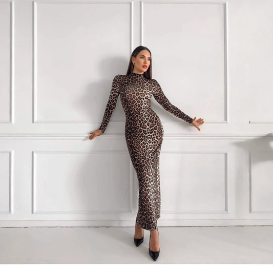 Style Autumn New Fashion Leopard Print Stand Collar Long Sleeve Long Dress Women