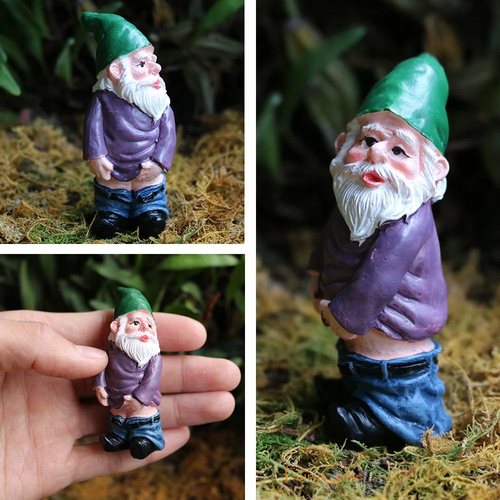 Mini Garden Gnome Figurines – Resin Fairy & Elf Miniatures for Terrarium